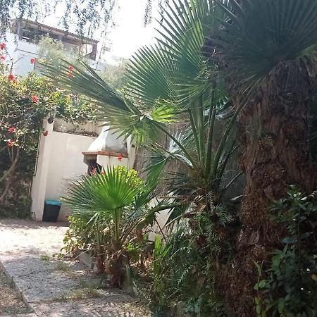 Apartamento - Jardin En Playa San Sebastian Sitges Exterior photo